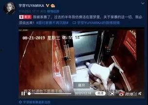 成源家暴爆料视频,家庭暴力事件引发社会关注 第1张 成源家暴爆料视频,家庭暴力事件引发社会关注 第1张